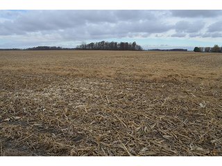 Property photo 1 - LAND AUCTION - 276.5+/- ACRES OFFERED IN 5 TRACTS IN EAST ALLEN COUNTY